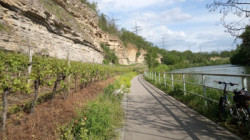 Inlineausfahrt Neckartal klein.jpg