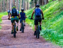 Bild ebike_wald1.jpg